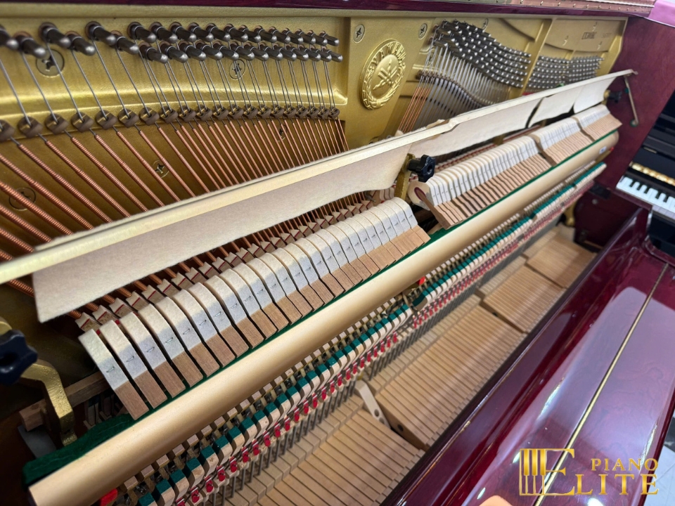 YAMAHA UX300 BiC