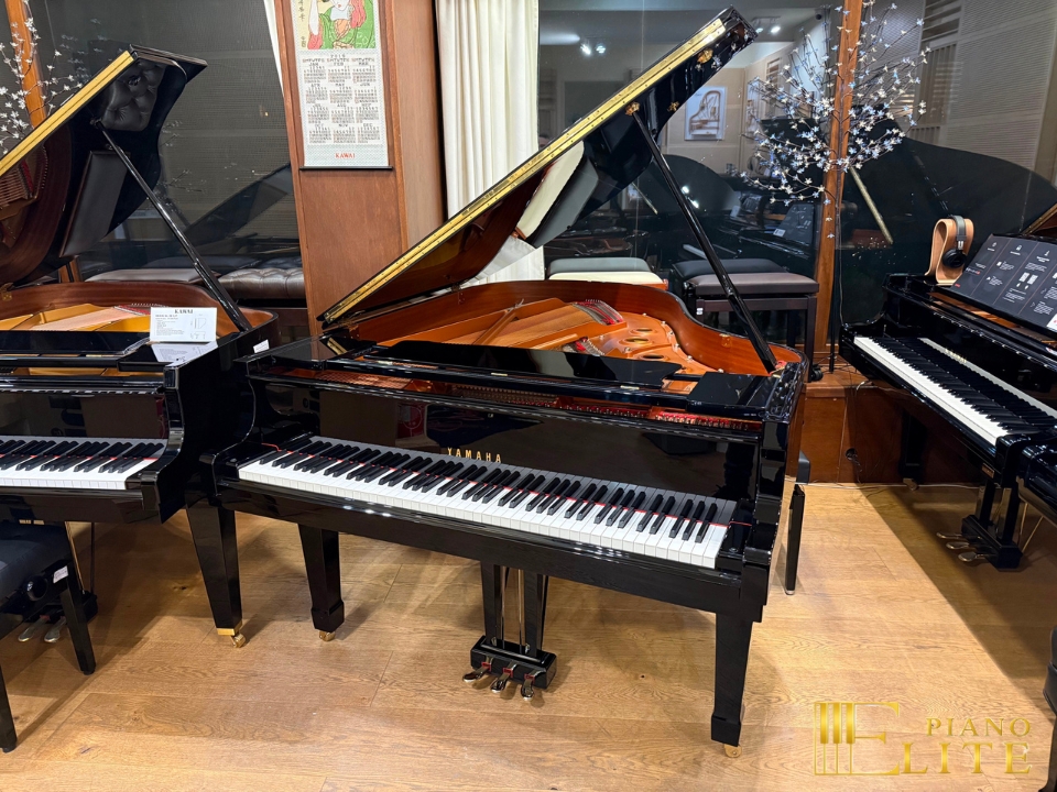 YAMAHA C3L