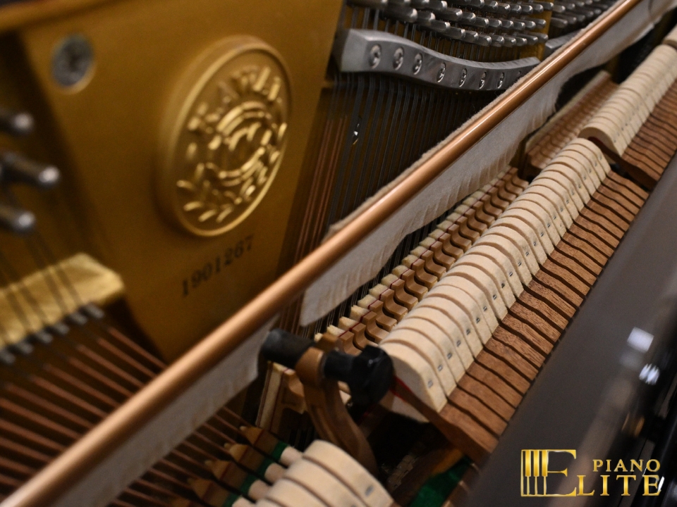 KAWAI US-6X