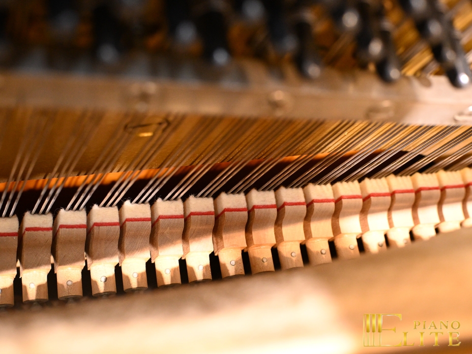 YAMAHA U1E