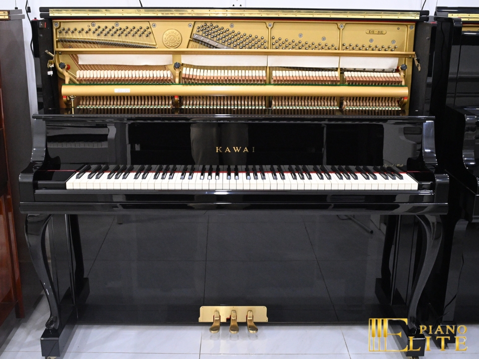 KAWAI DS-8E