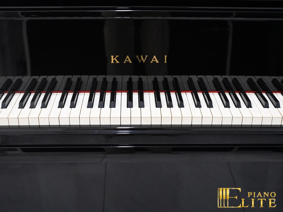 KAWAI DS-8E