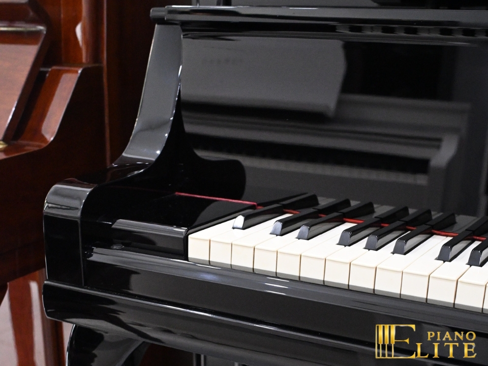 KAWAI DS-8E