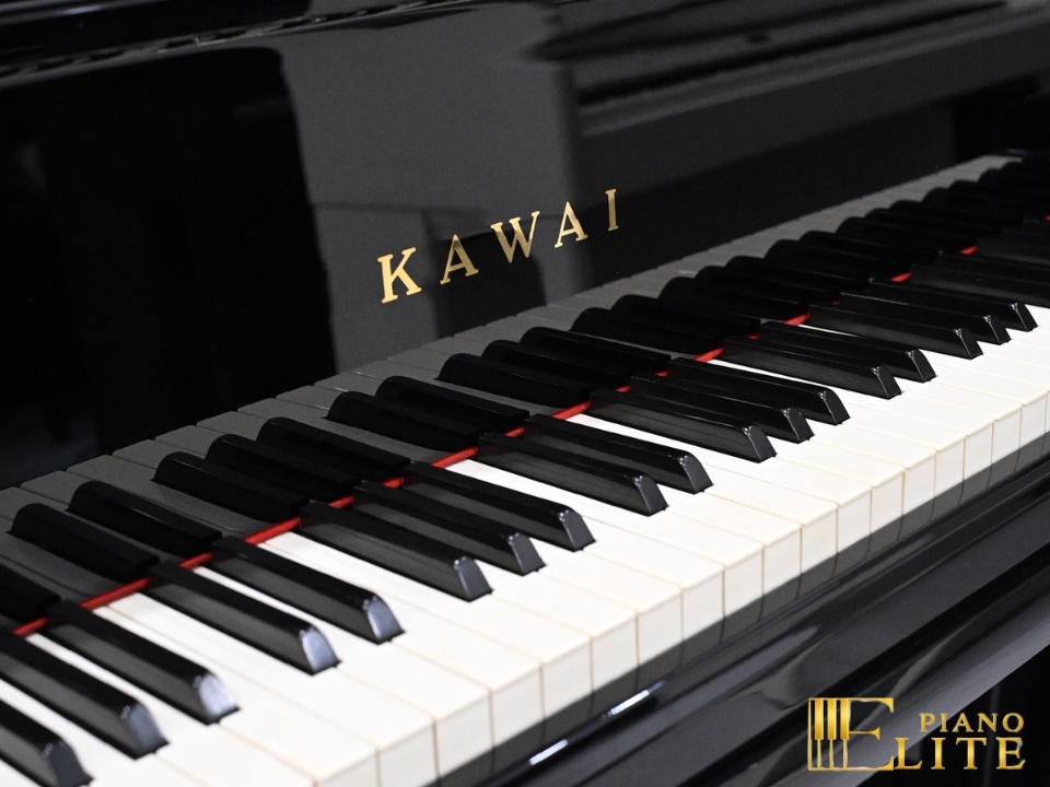 KAWAI DS-8E