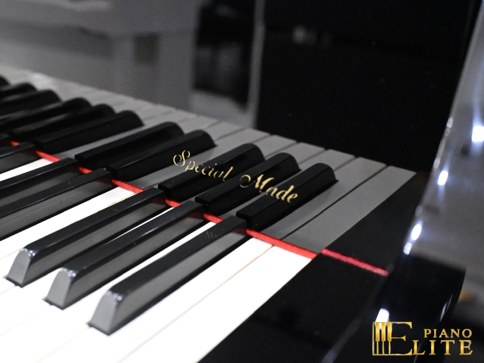 KAWAI DS-8E