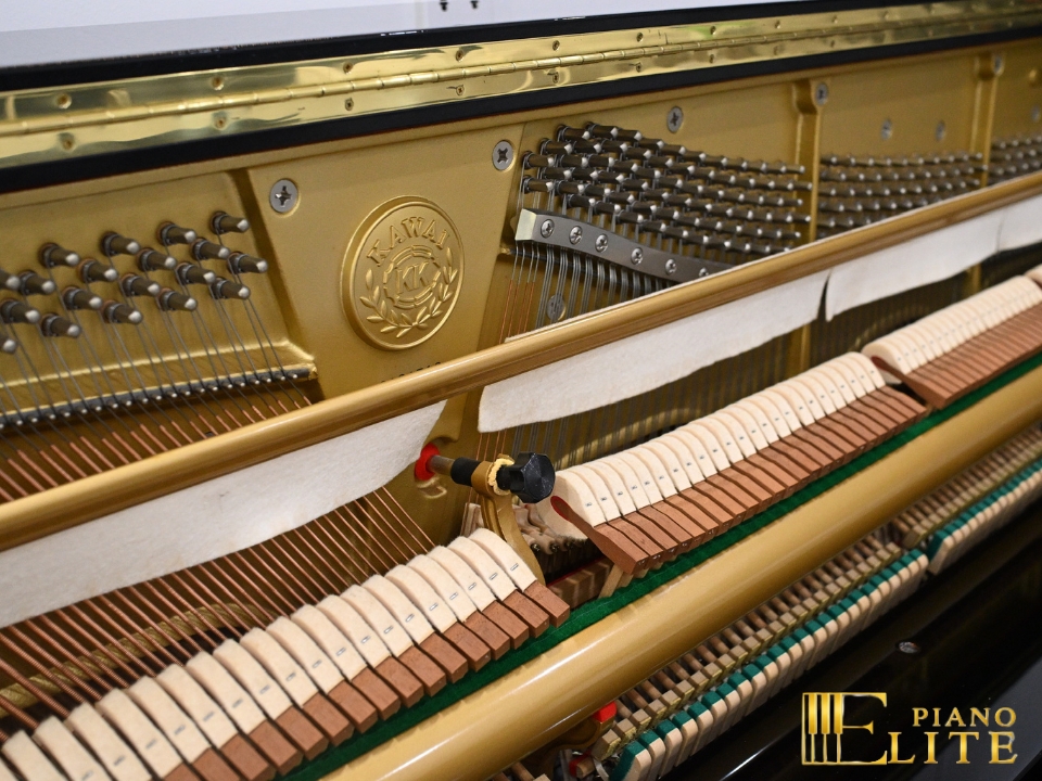 KAWAI DS-8E