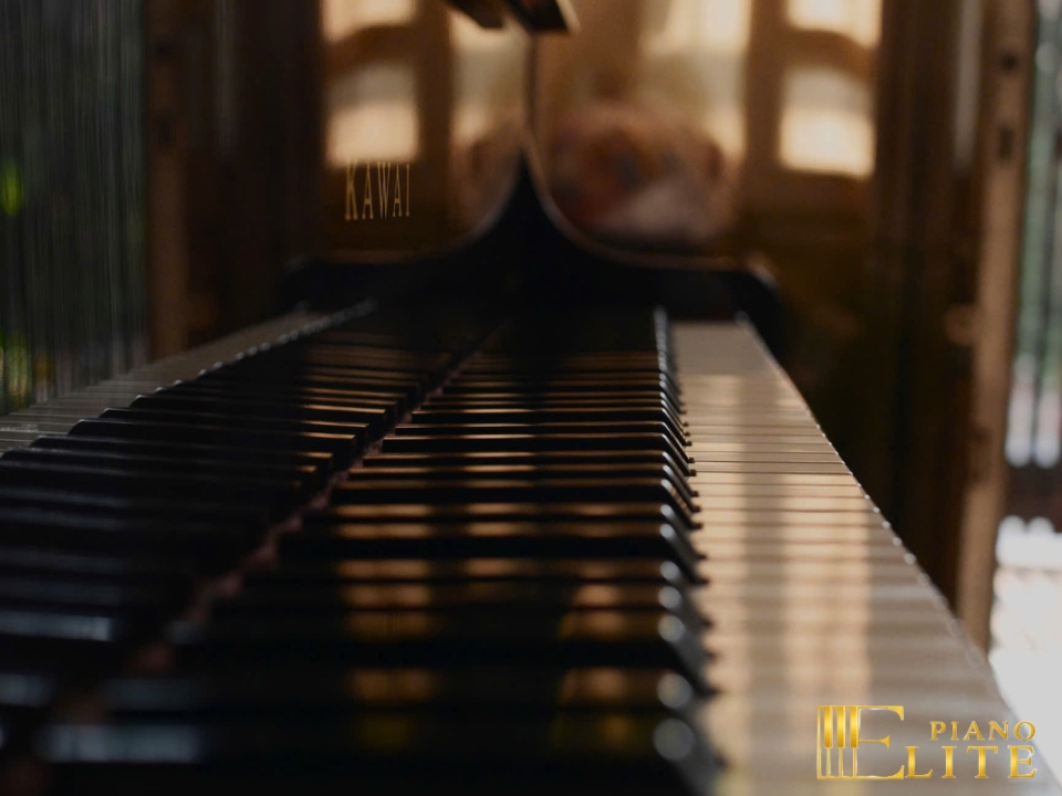 KAWAI DS-8B