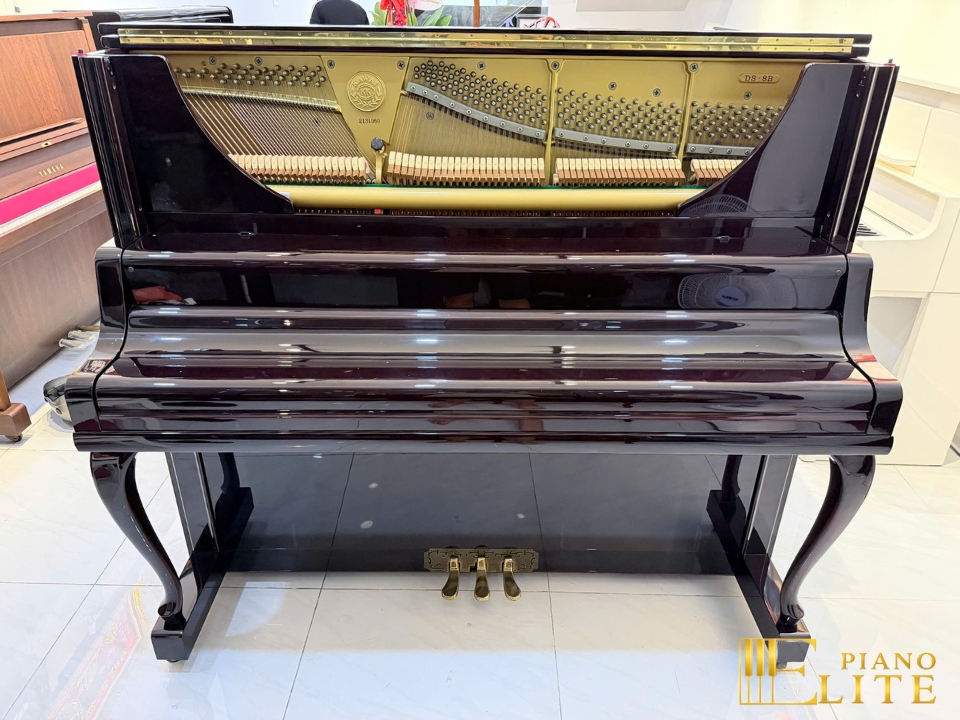 KAWAI DS-8B