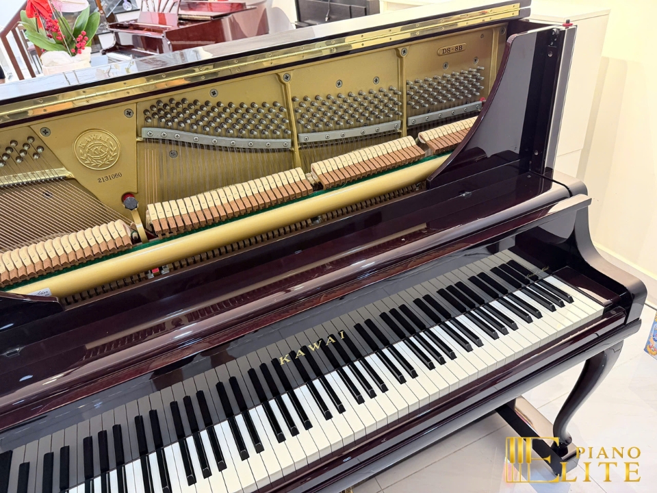 KAWAI DS-8B