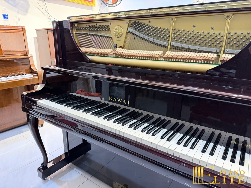 KAWAI DS-8B