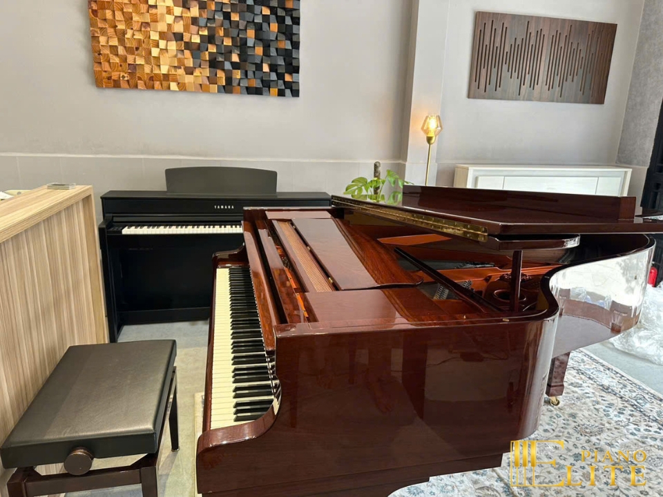 Wilhelm Schimmel W180 Tradition Mahogany (USED)