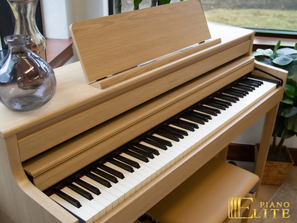 ROLAND HP-704 LO (USED)
