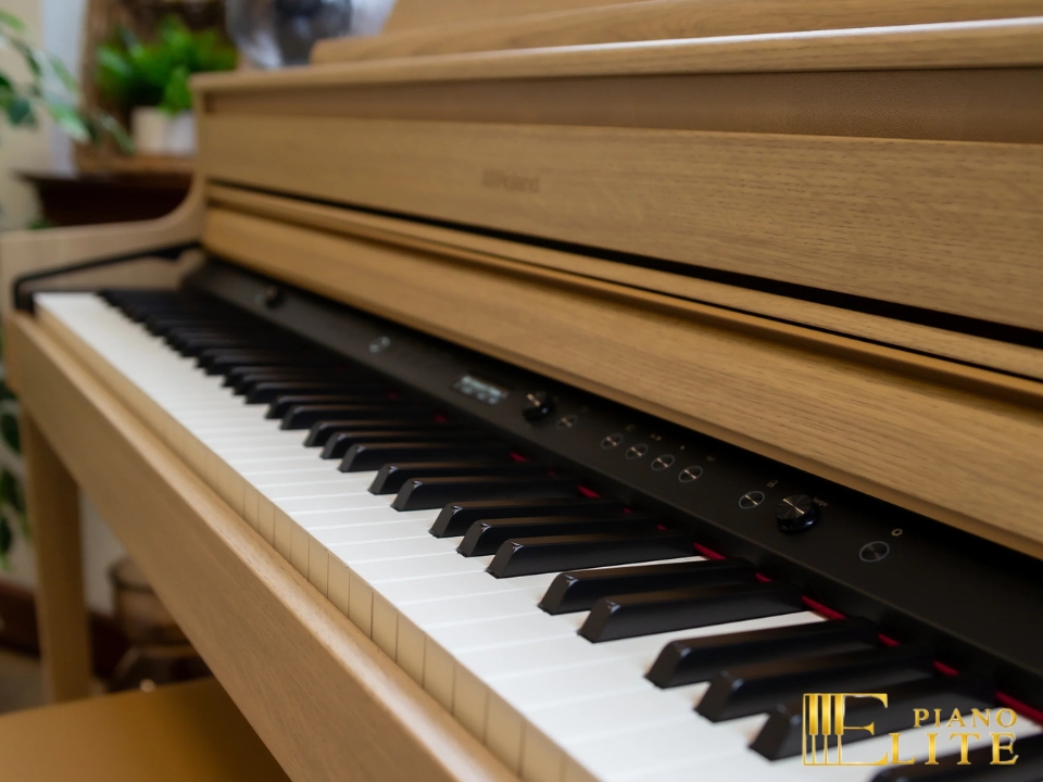 ROLAND HP-704 LO (USED)