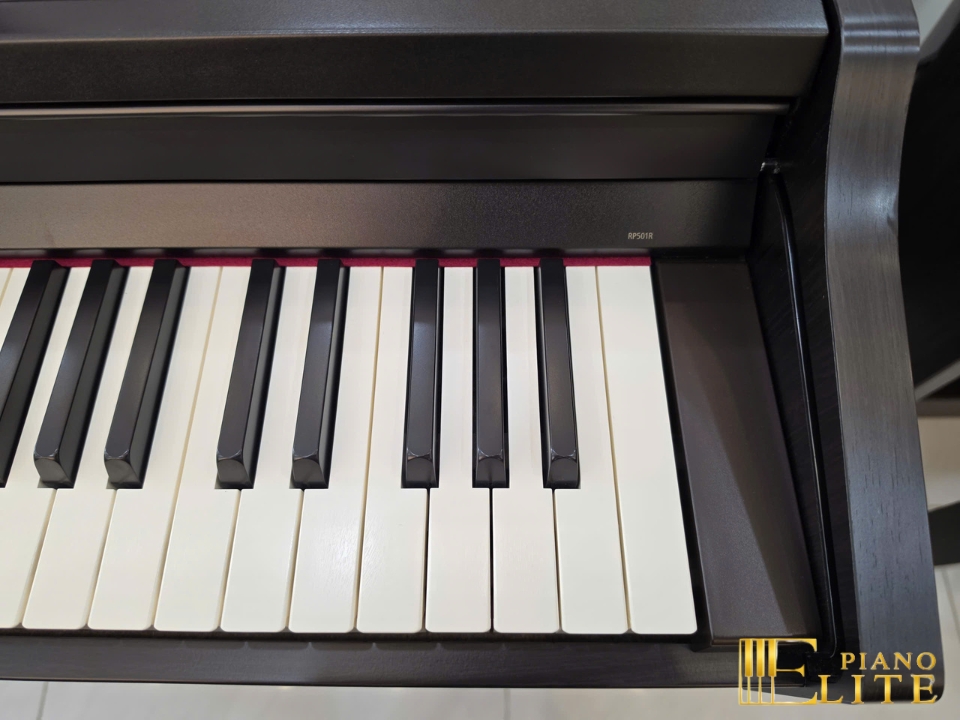 ROLAND RP-501R