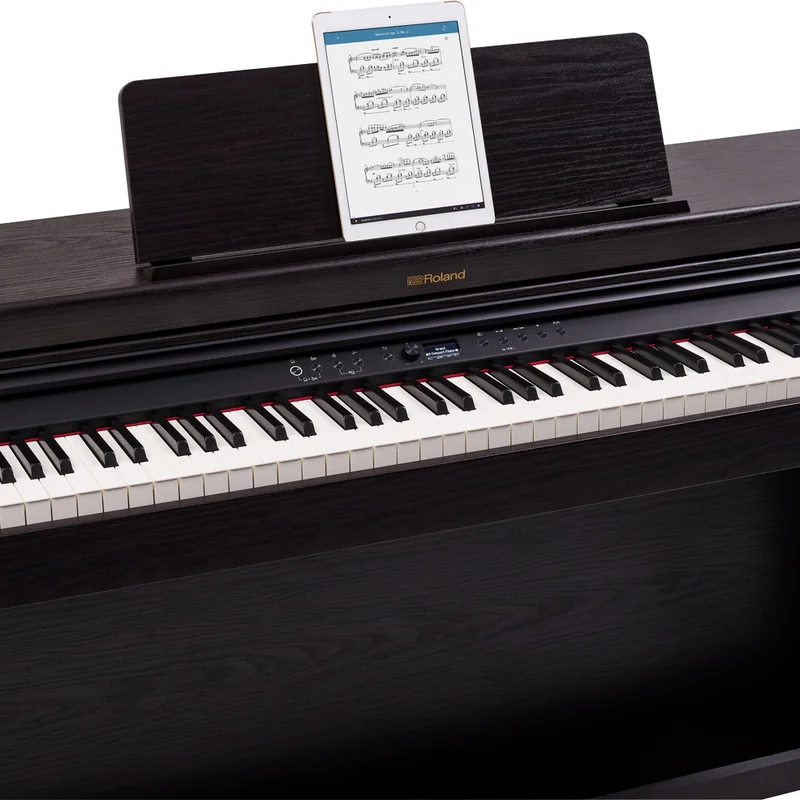 ROLAND RP-701 DR (Used)