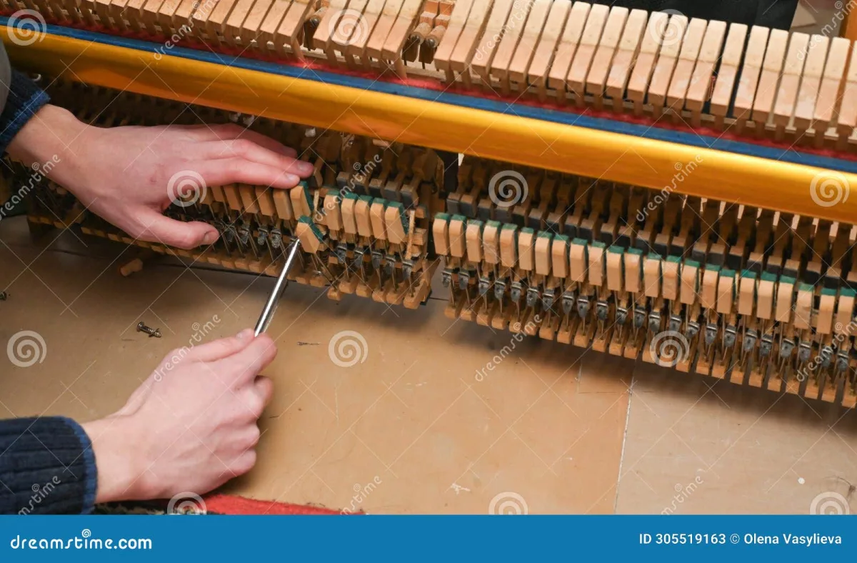 Thay búa piano hammer mới