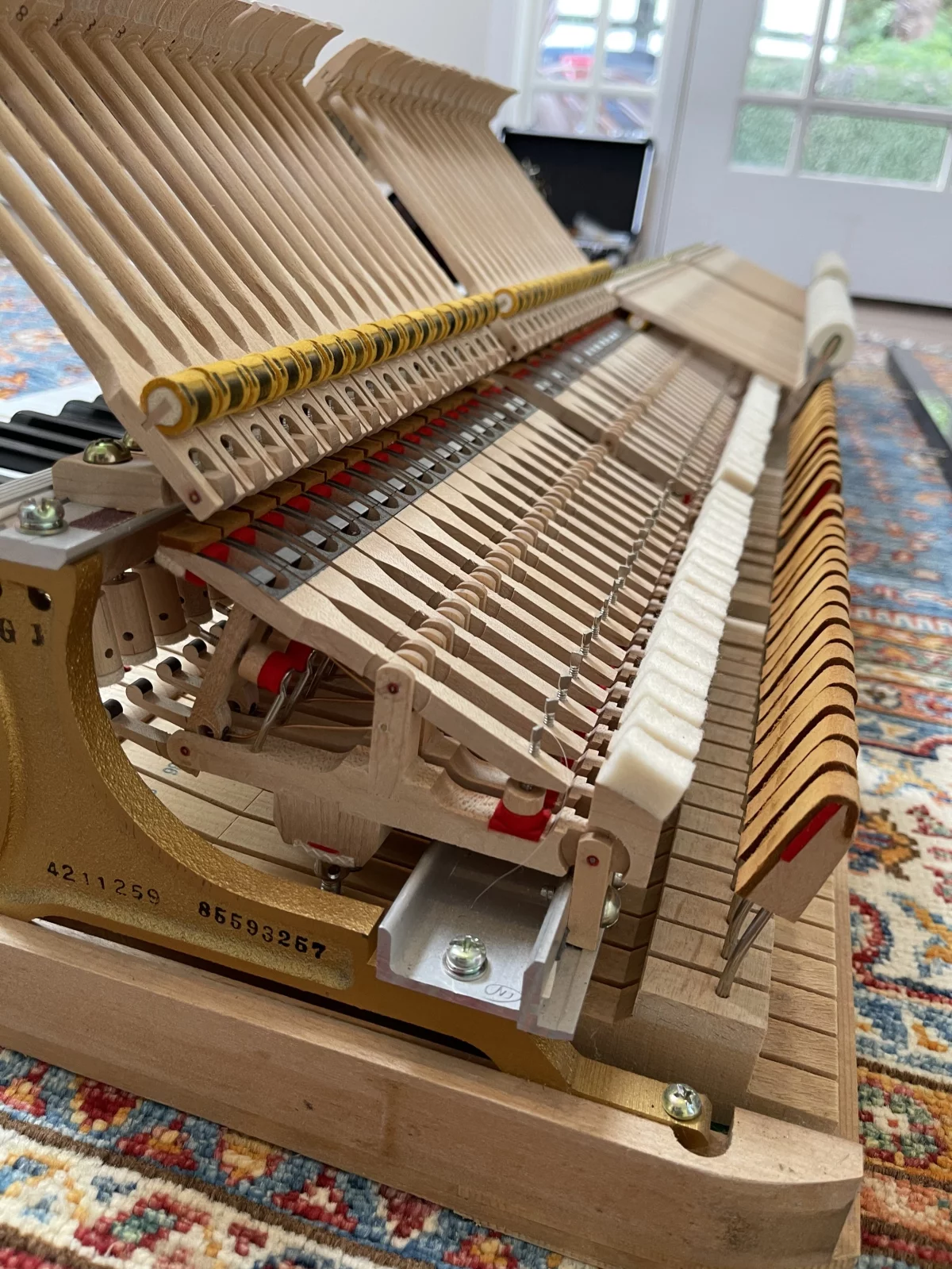 Dịch vụ lên dây và bảo dưỡng sau vận chuyển