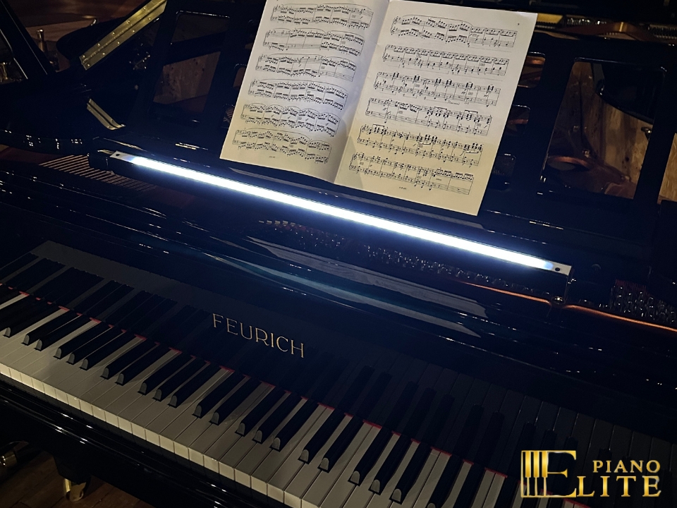 FEURICH 218 - "CONCERT I" (Brass) - Ảnh 9