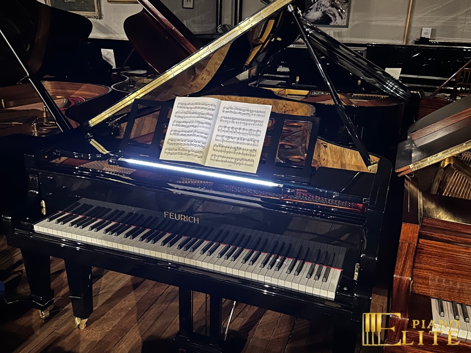 FEURICH 218 - "CONCERT I" (Brass) - Ảnh 7