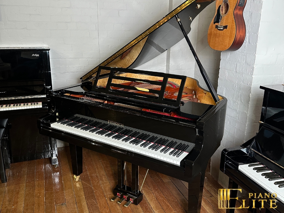 FEURICH 162  & DYNAMIC I (Black Polish & Brass)