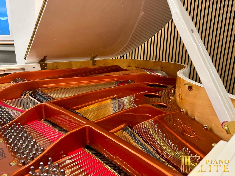 FEURICH 179 - "DYNAMIC II" (White Polish & Brass) - Ảnh 10