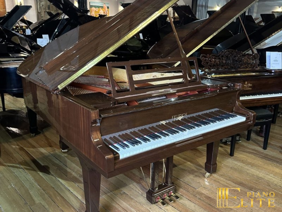 FEURICH 179 & DYNAMIC II (Walnut Polished & Brass) - Ảnh 3