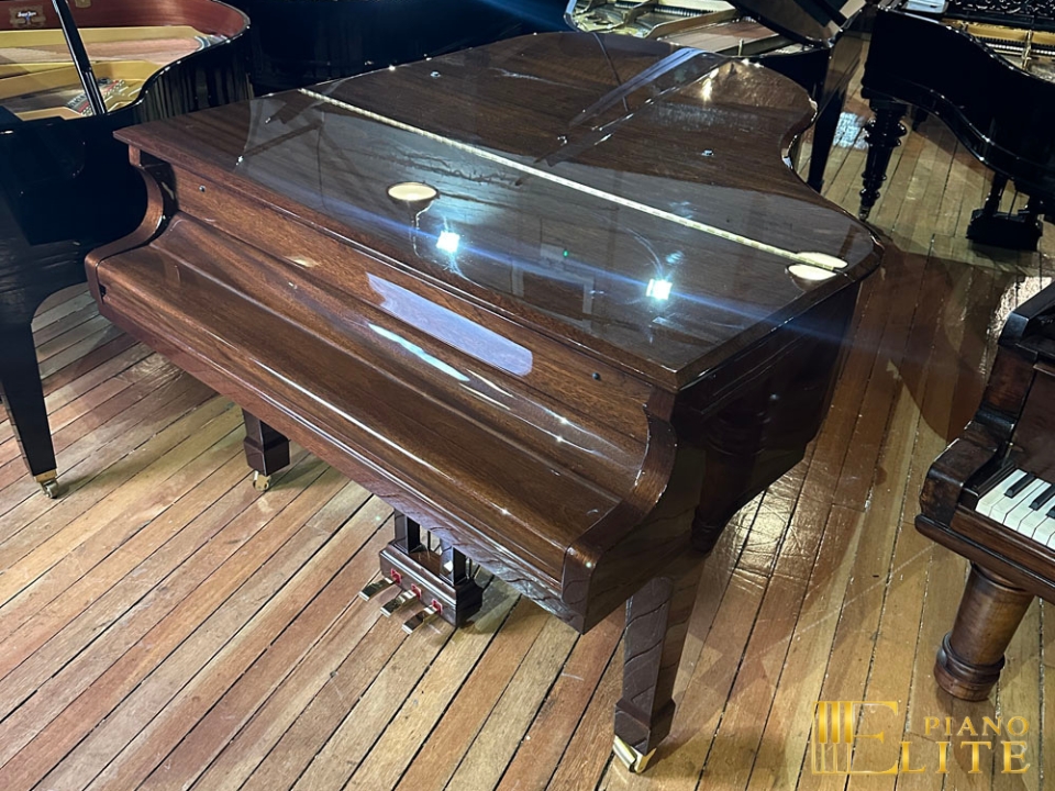 FEURICH 179 & DYNAMIC II (Walnut Polished & Brass) - Ảnh 5
