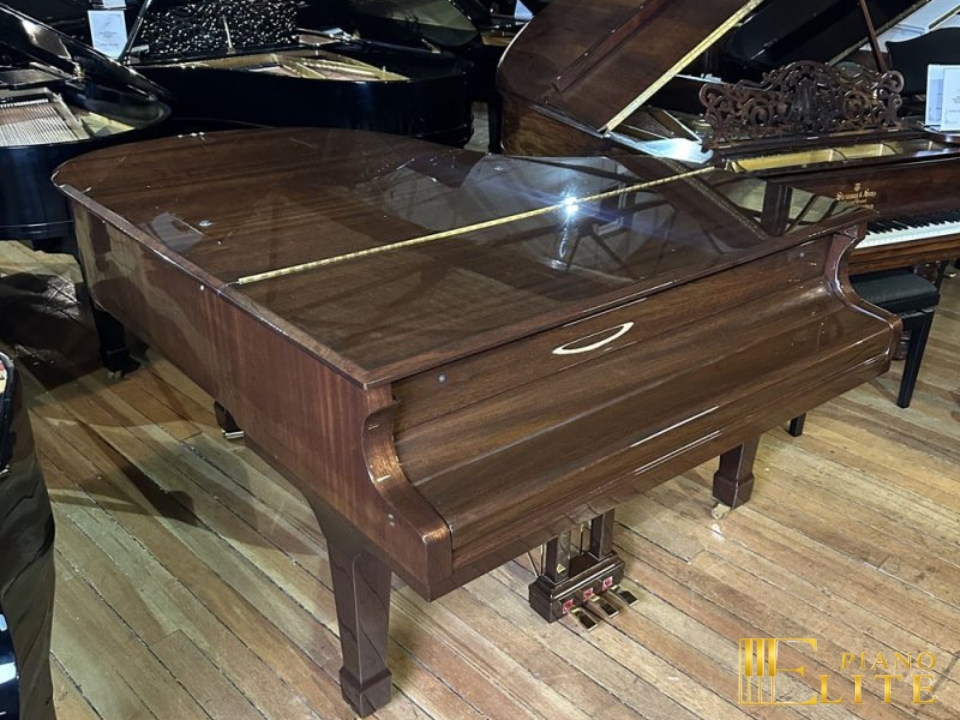 FEURICH 179 & DYNAMIC II (Walnut Polished & Brass) - Ảnh 6