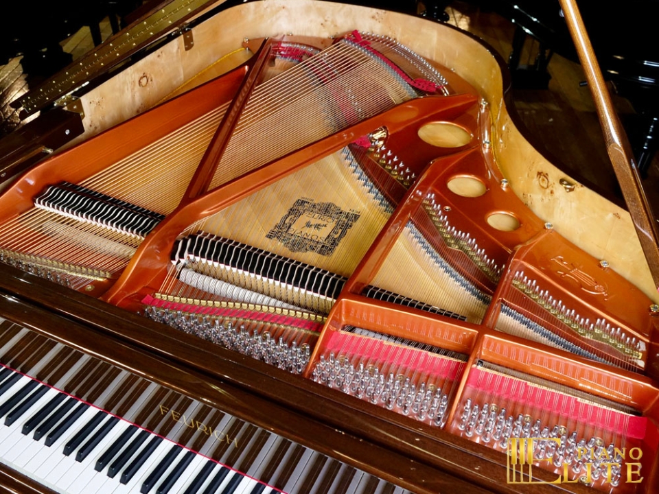 FEURICH 179 & DYNAMIC II (Walnut Polished & Brass) - Ảnh 7
