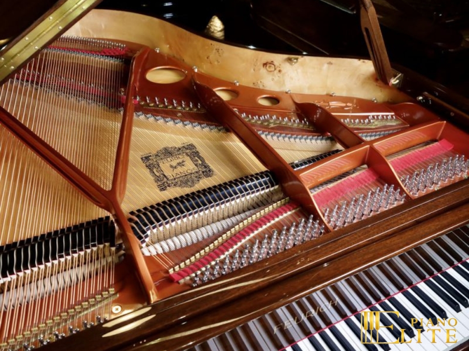 FEURICH 179 & DYNAMIC II (Walnut Polished & Brass) - Ảnh 9