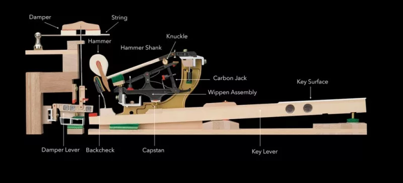 Khám Phá "Hệ Tầng Ngầm" Của Grand Piano: Giải Mã Bí Ẩn Về Cấu Trúc Khung Và Hệ T