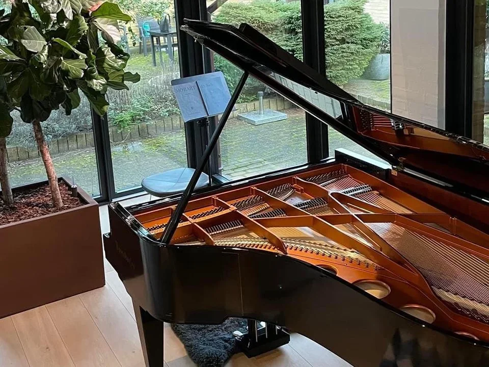 Bösendorfer 230VC - Chi tiết 2