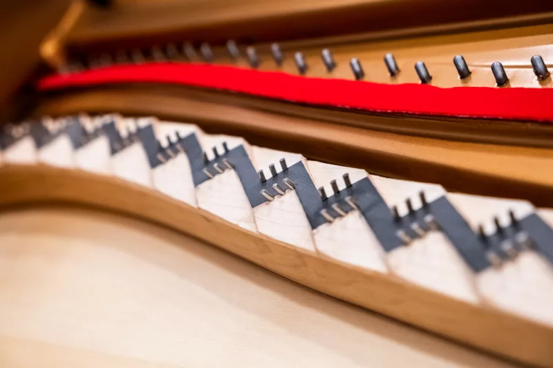 Bảo dưỡng piano