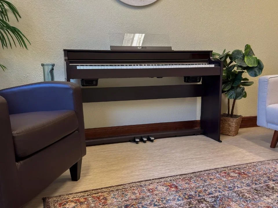 Casio AP-S450 Rosewood (R) - Chi tiết 1