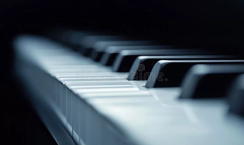 Phím đàn Piano: "Giao Diện Ngón Tay" Và Bí Mật Ẩn Sau Cảm Giác Chơi Hoàn Hảo Của