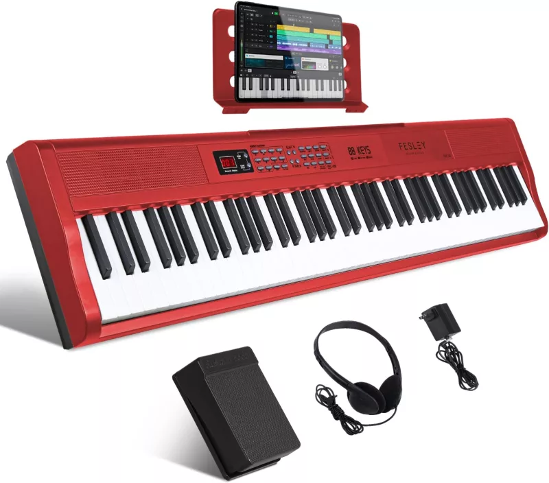Piano điện chất lượng tại Cà Mau
