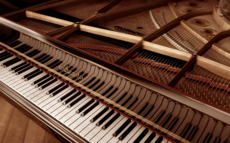 Piano đẳng cấp tại Nam Định