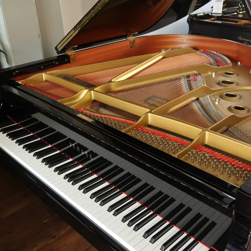 Grand Piano chính hãng tại Ninh Thuận