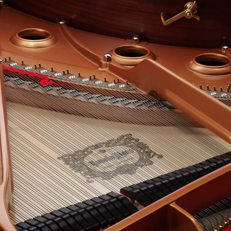 Grand Piano chính hãng tại Phú Thọ