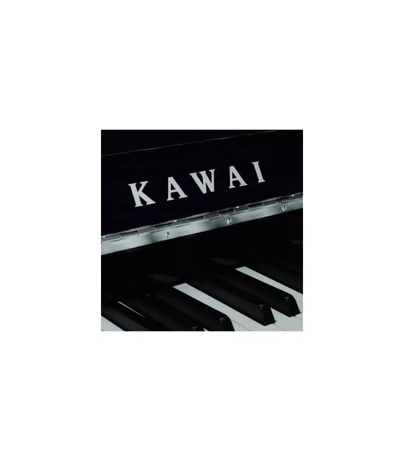 Thương hiệu piano uy tín tại Tây Ninh