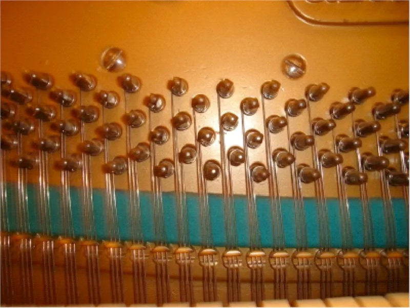 Chi tiết piano cao cấp tại TP.HCM