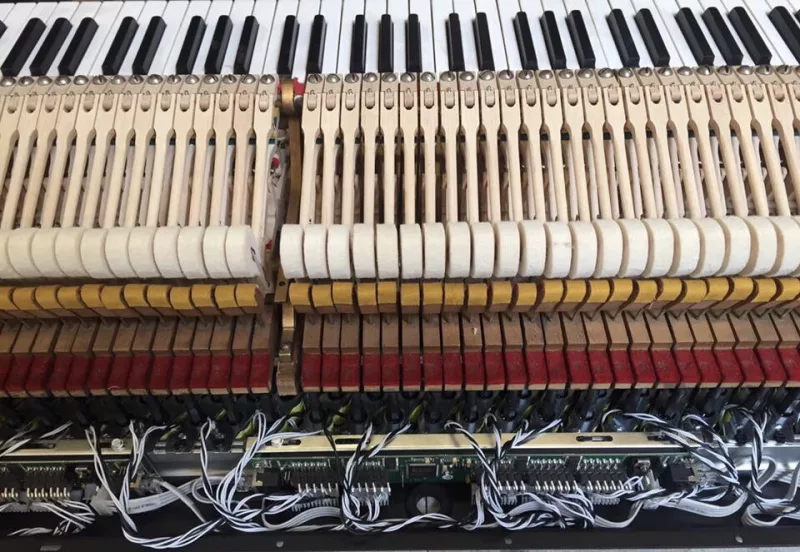 Kiểm Soát Độ Ẩm Piano: Bí Quyết Bảo Vệ "Trái Tim" Âm Thanh Khỏi Kẻ Thù Vô Hình