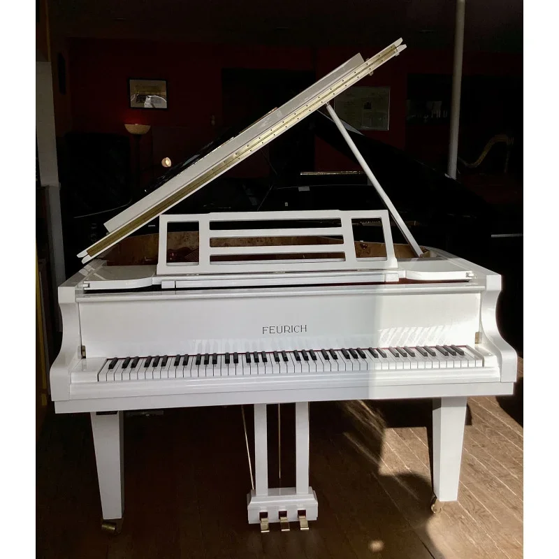 FEURICH 162 - 