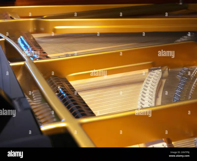Khi Thảm Họa Nước Lũ Ập Đến: Hồi Sinh Piano Bị Ngâm Nước – Từ Khắc Phục Sơ Bộ Đế