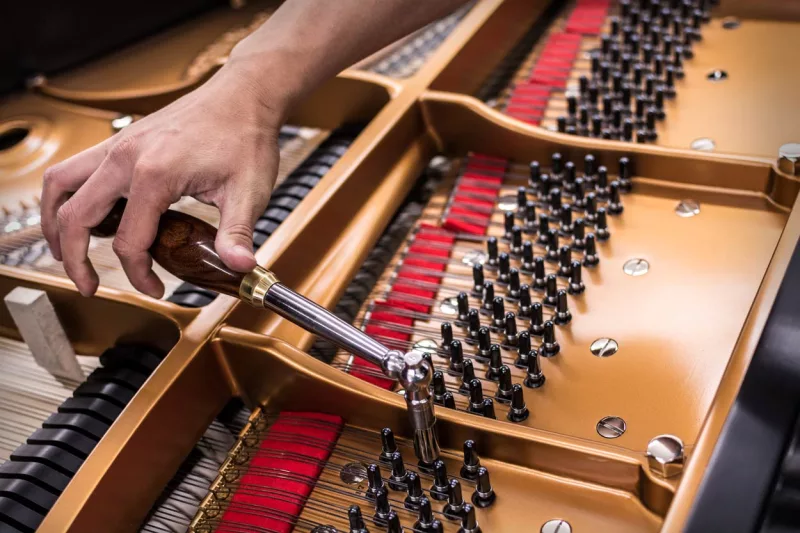 Đứng Hình" Piano Điện: Khi Phần Mềm Gặp Lỗi - "Khám Bệnh" và "Cứu Sống" Nhạc Cụ