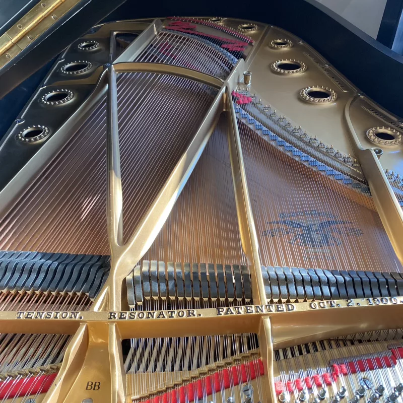 Giải mã "Điểm yếu cố hữu" của Piano Điện: Khi nào nên sửa và tự khắc phục những