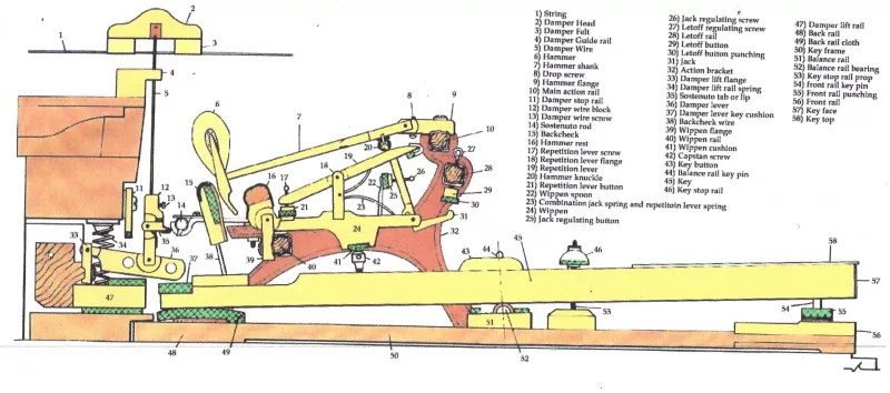 Modeling Piano Điện: Khi "Trí Tuệ Nhân Tạo" Tái Tạo Linh Hồn Đại Dương Cầm Trong