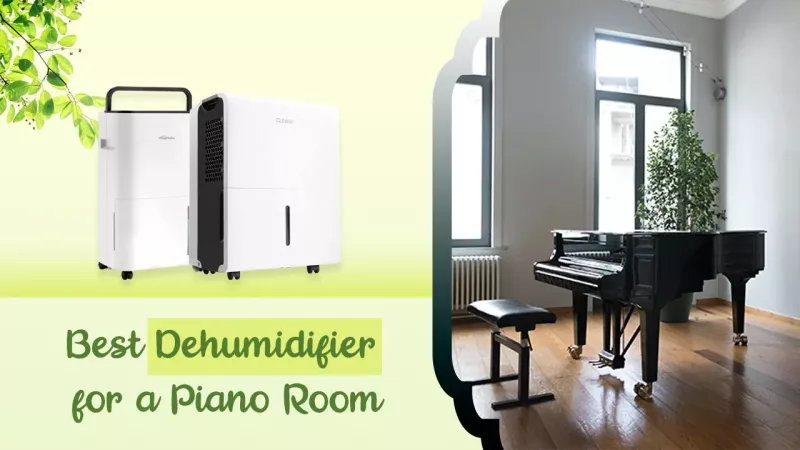Phục Sinh Phím Đàn: Giải Pháp Nỉ Thay Thế Tối Ưu Cho Cảm Giác Chơi Hoàn Hảo