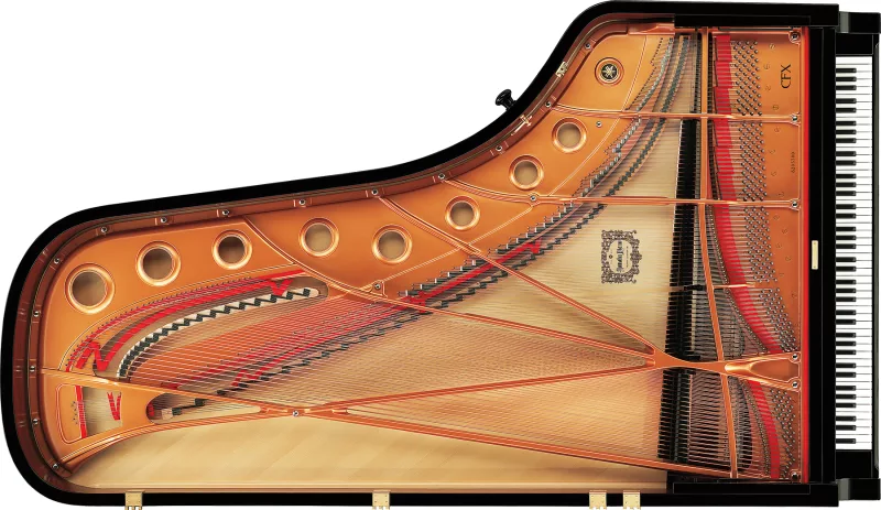 Bảo dưỡng piano