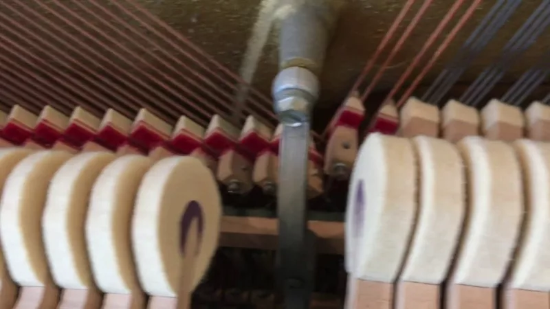 Phục hồi piano